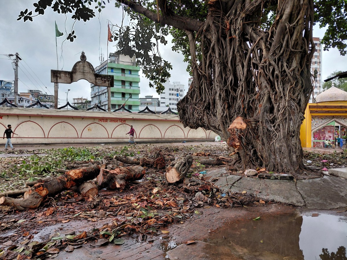 হুমকিতে হাজার বছরের আধ্যাত্মিকতাচর্চা, রেহাই পায়নি মাজারের&nbsp;গাছও